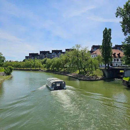 Апартаменты Cozy Nest *