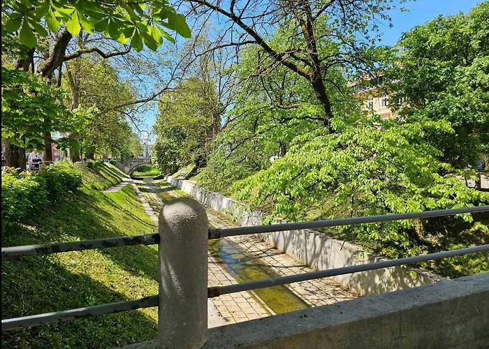 アパート Cozy Nest *